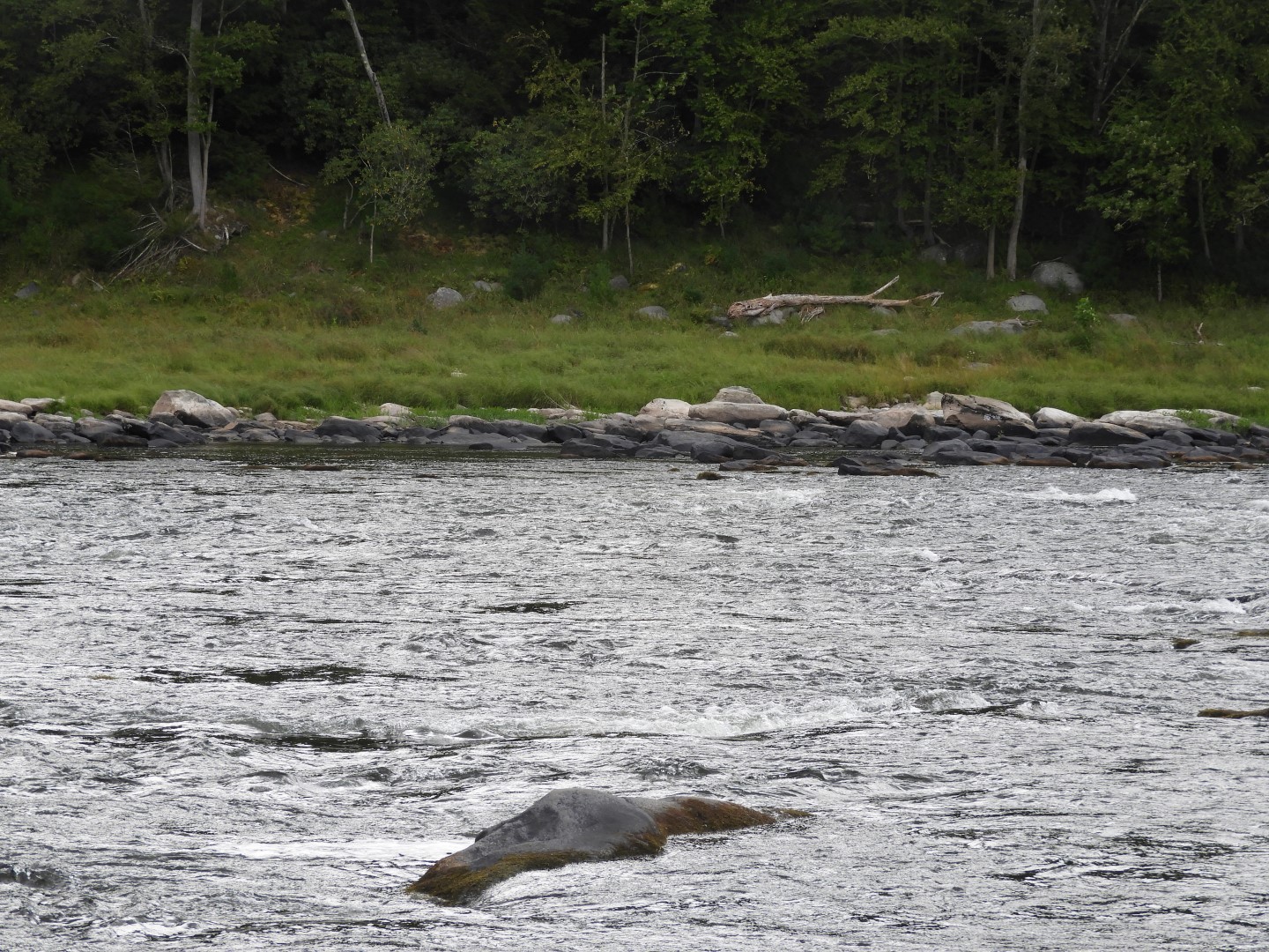 Upper Delaware River Scenic and Recreational National River near Masthope PA 13 of 25 (#0085)