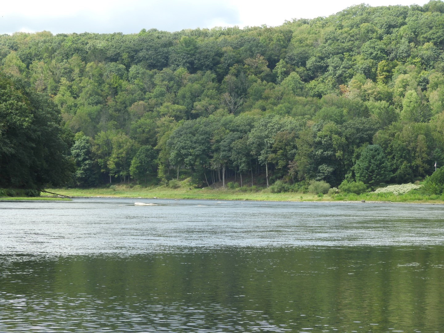 Upper Delaware River Scenic and Recreational National River near Masthope PA 17 of 25 (#0090)