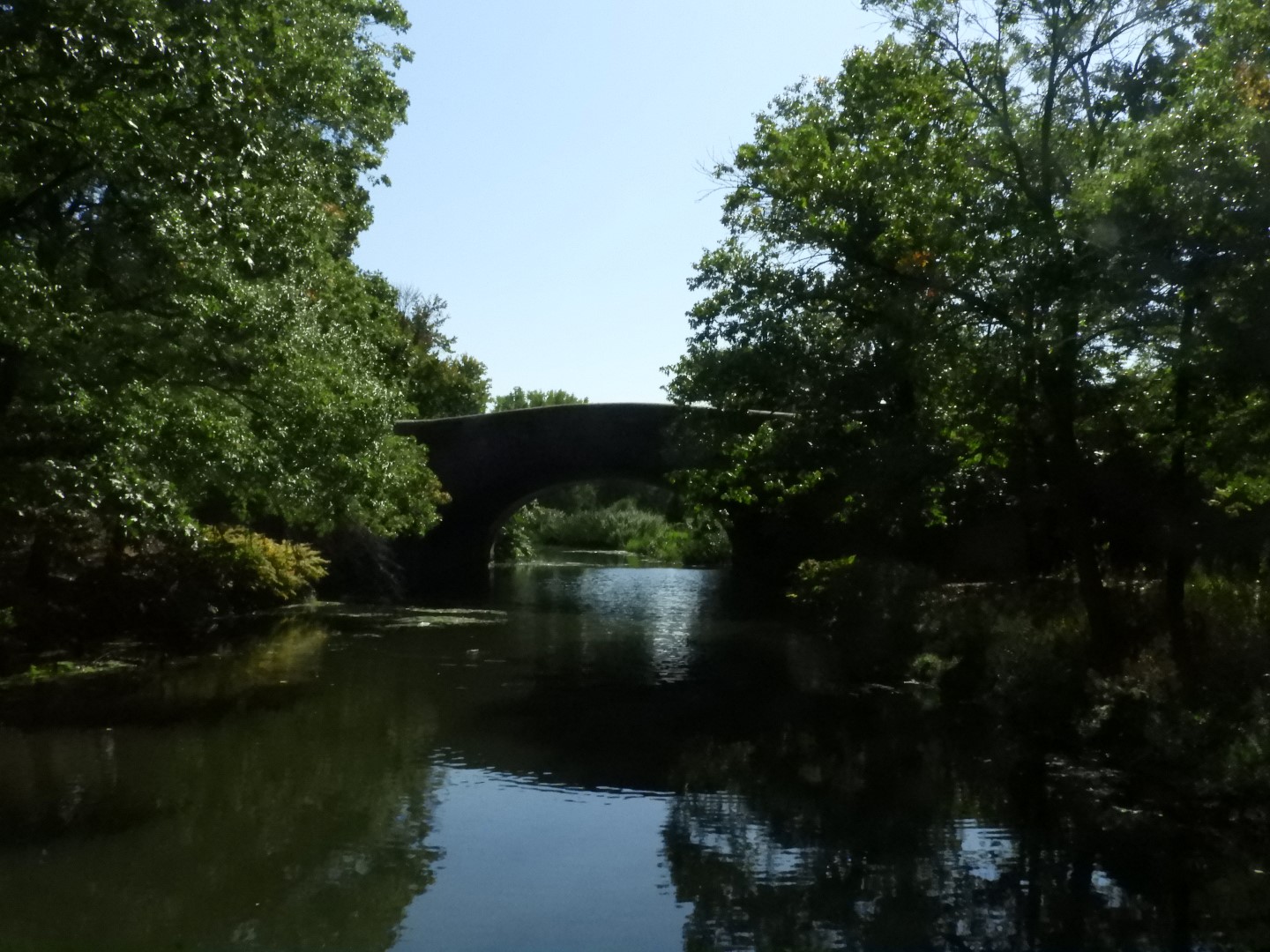 Boston Red Sox 26 of 26 (#0255)