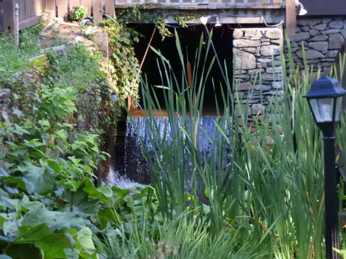 Plimouth Grist Mill 6 of 26 (#0262)