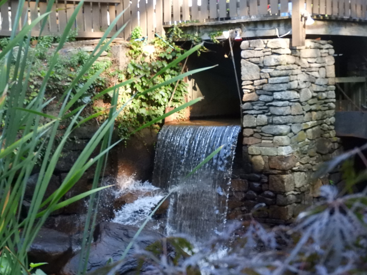 Plimouth Grist Mill 13 of 26 (#0269)