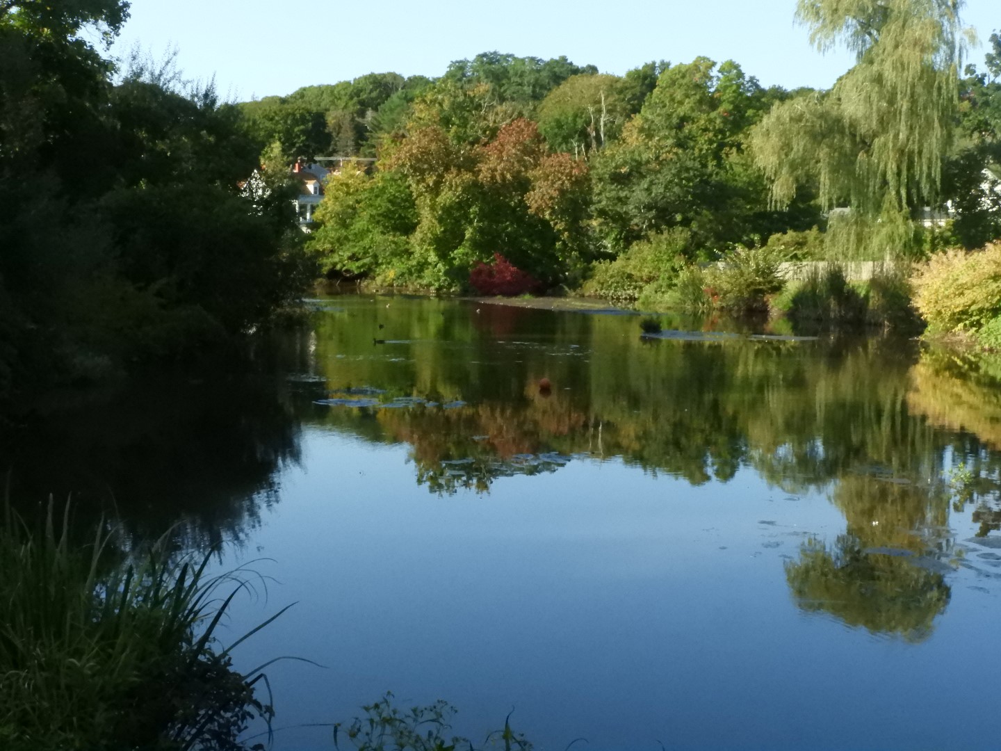 Adjacent to Plimouth Grist Mill 1 of 19 (#0270)