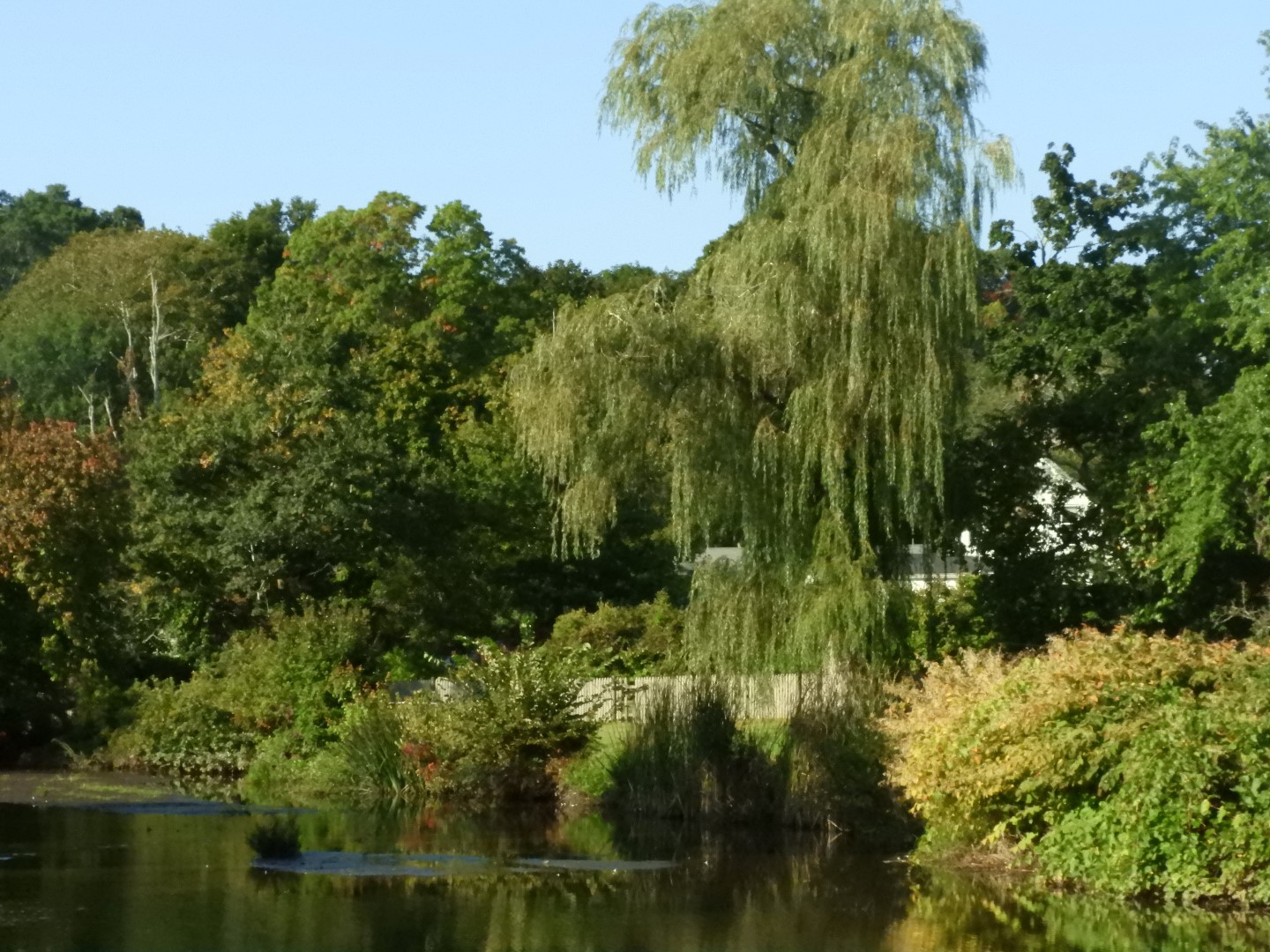 Adjacent to Plimouth Grist Mill 5 of 19 (#0274)