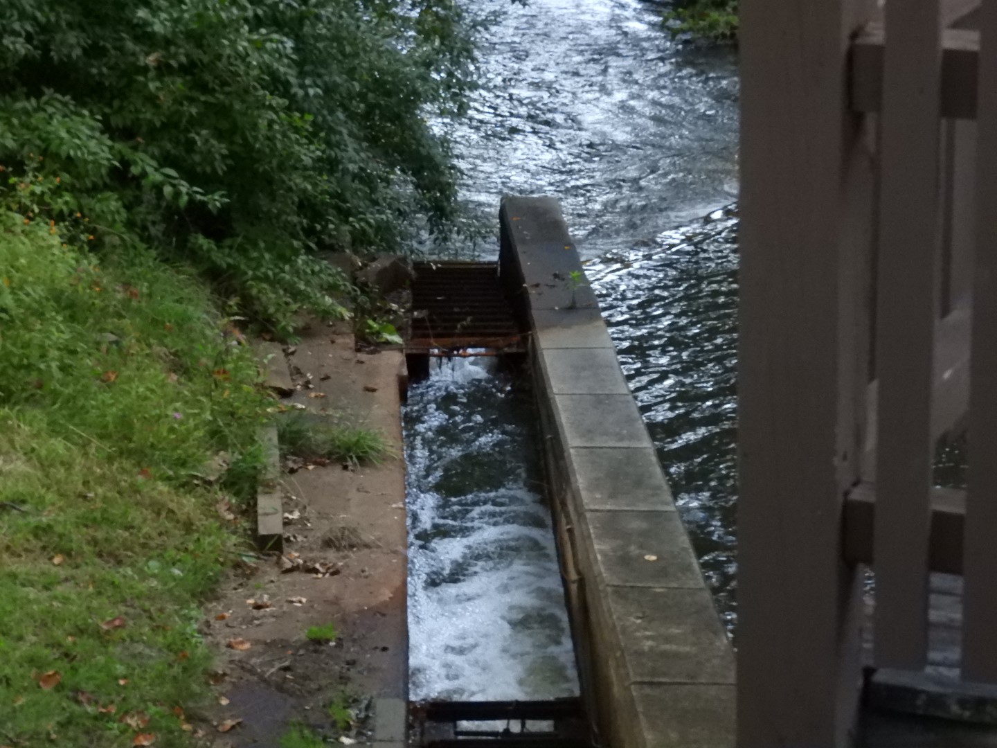 Plimouth Grist Mill 15 of 26 (#0278)