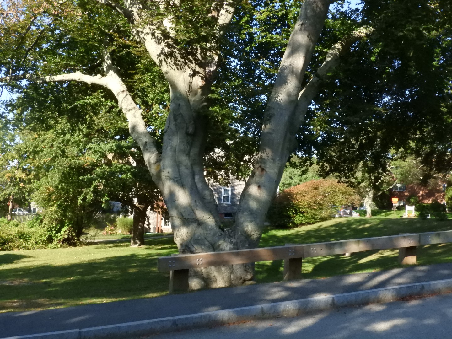 Adjacent to Plimouth Grist Mill 6 of 19 (#0279)