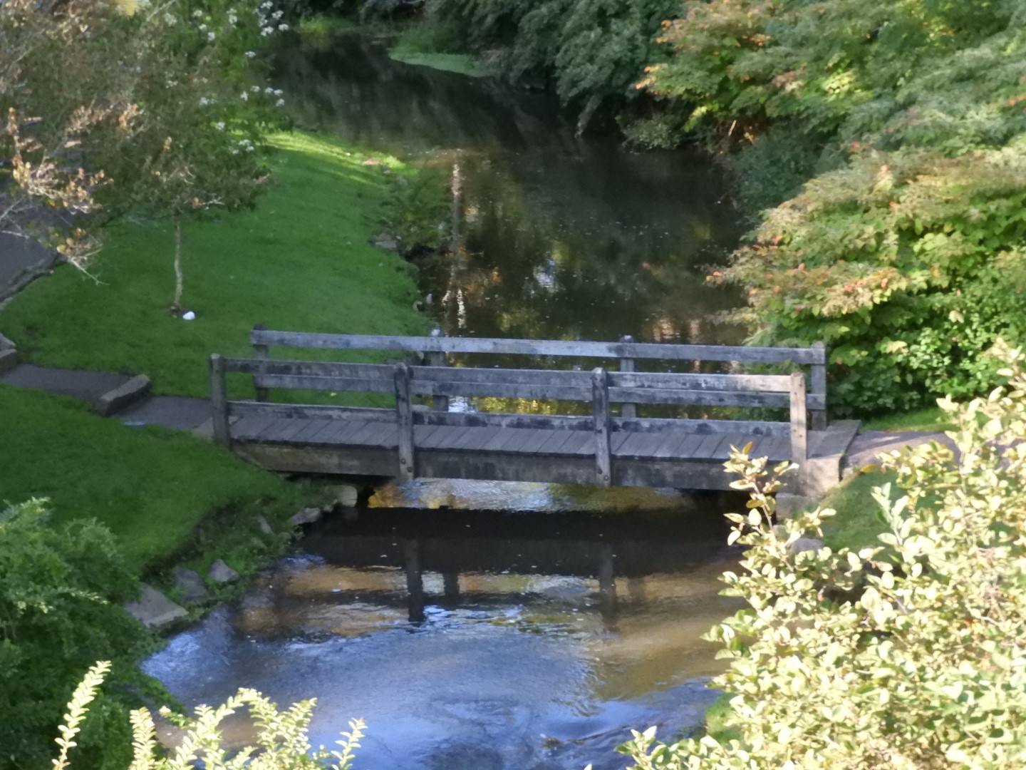 Brewster Garden 6 of 23 (#0283)