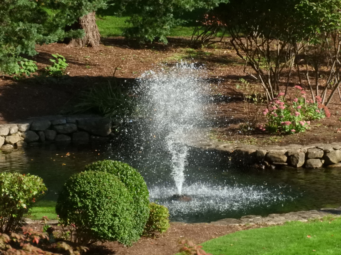 Brewster Garden 10 of 23 (#0288)