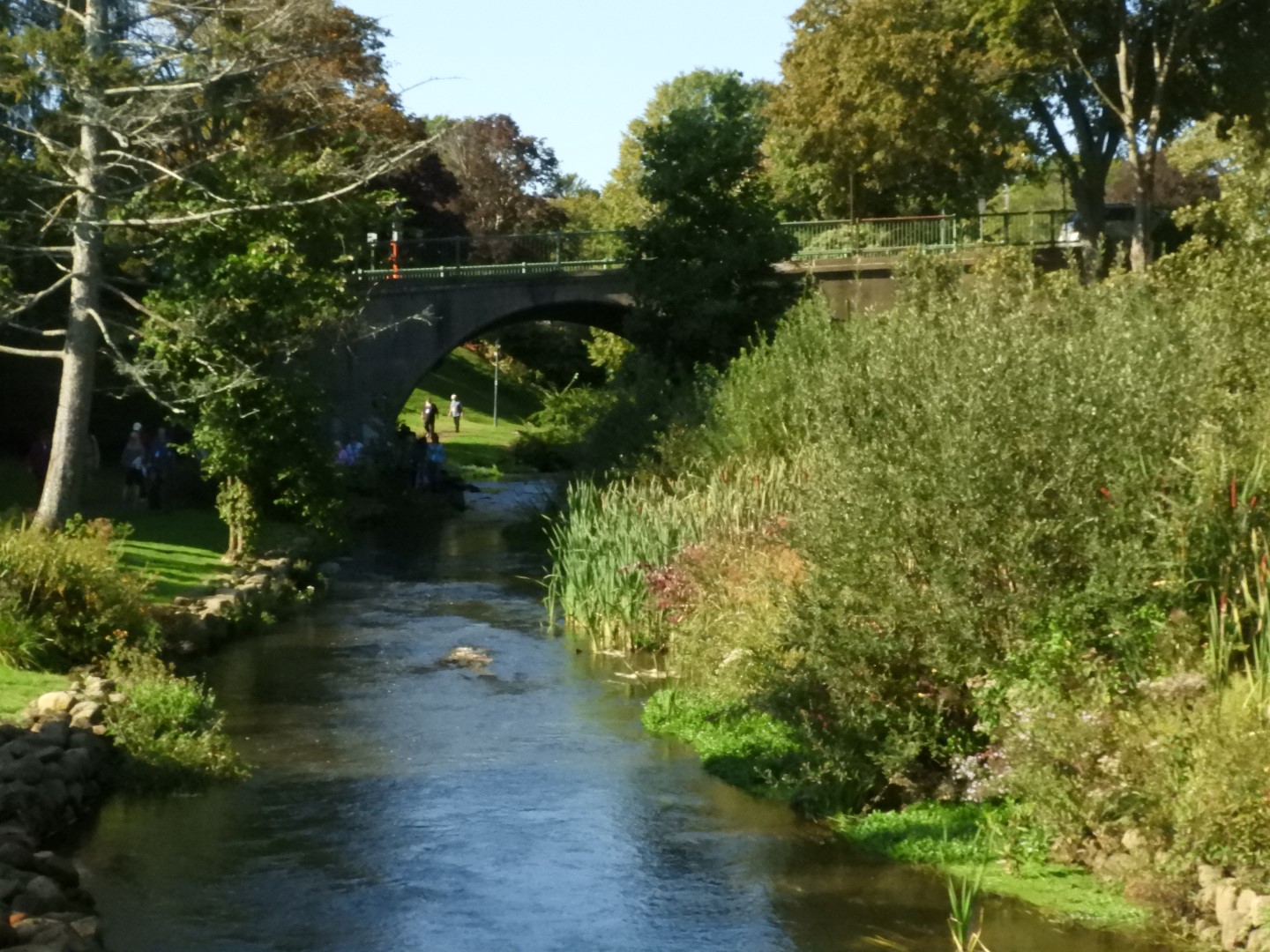 Brewster Garden 13 of 23 (#0291)