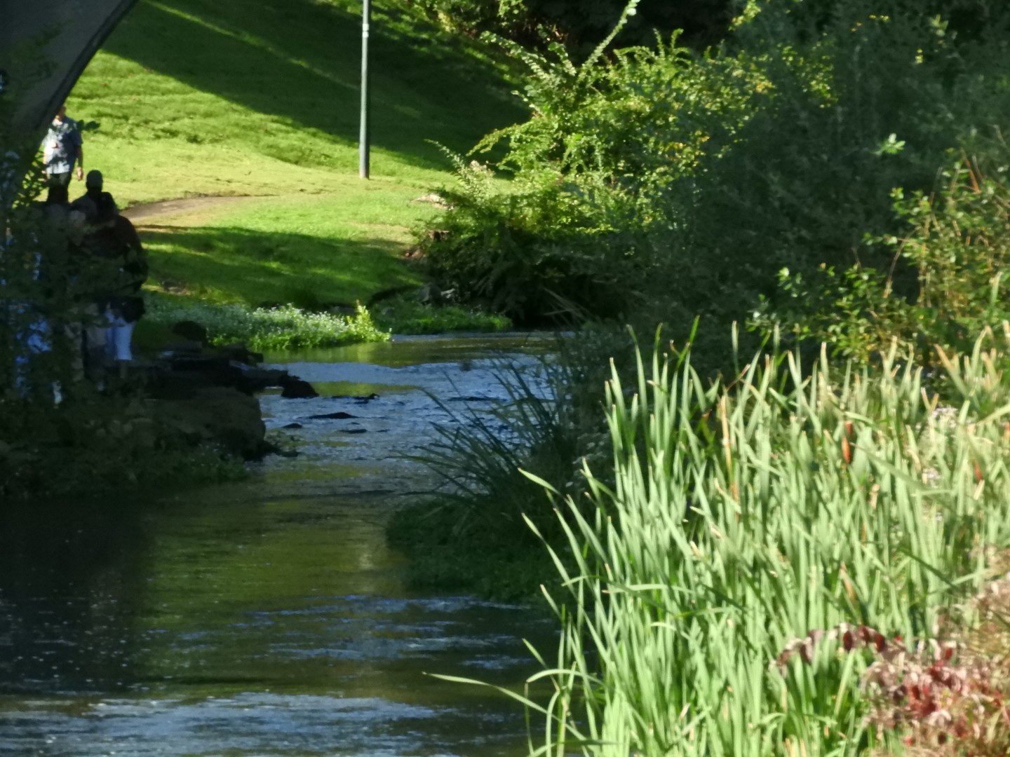 Brewster Garden 14 of 23 (#0292)