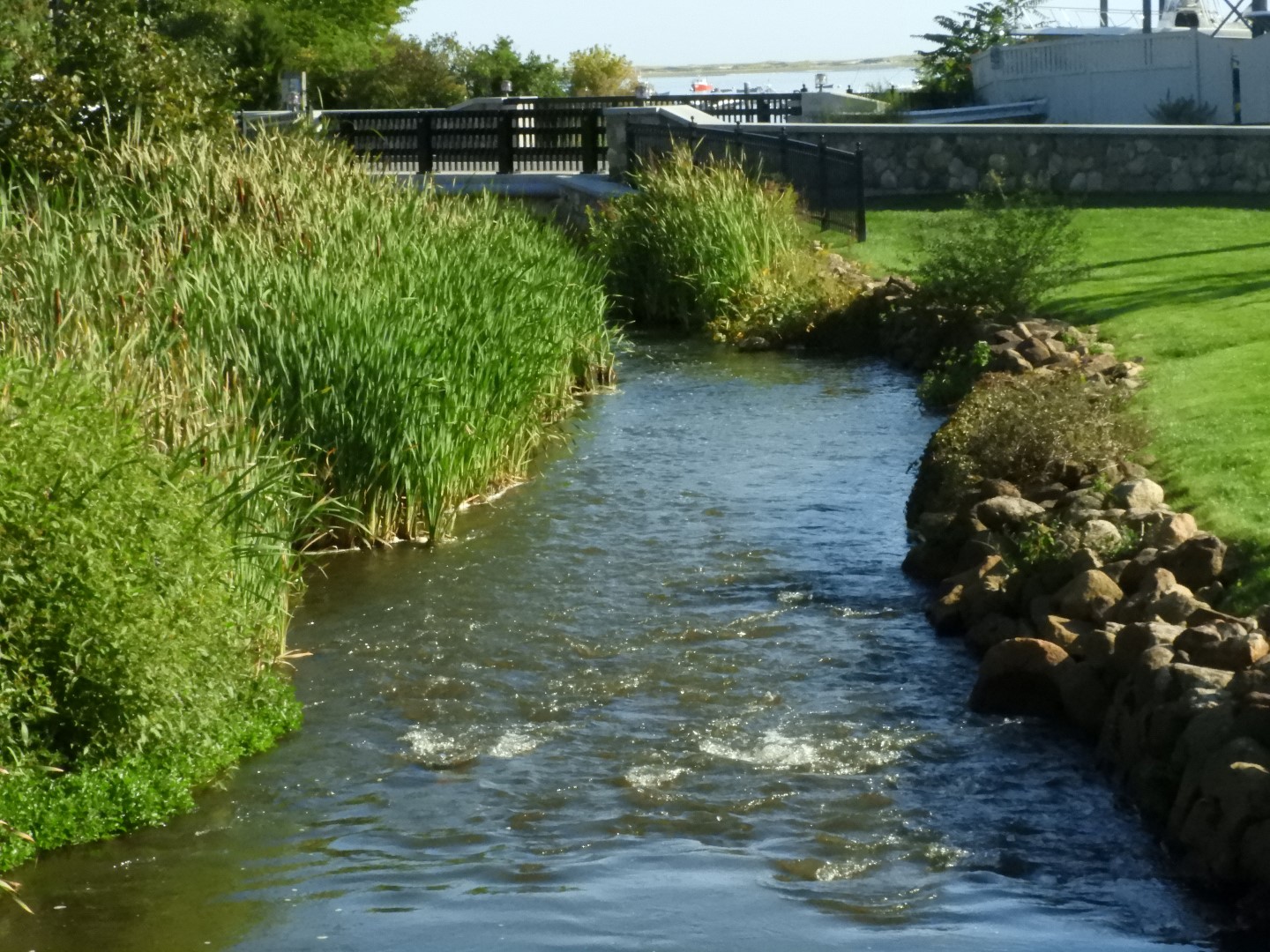 Brewster Garden 15 of 23 (#0293)