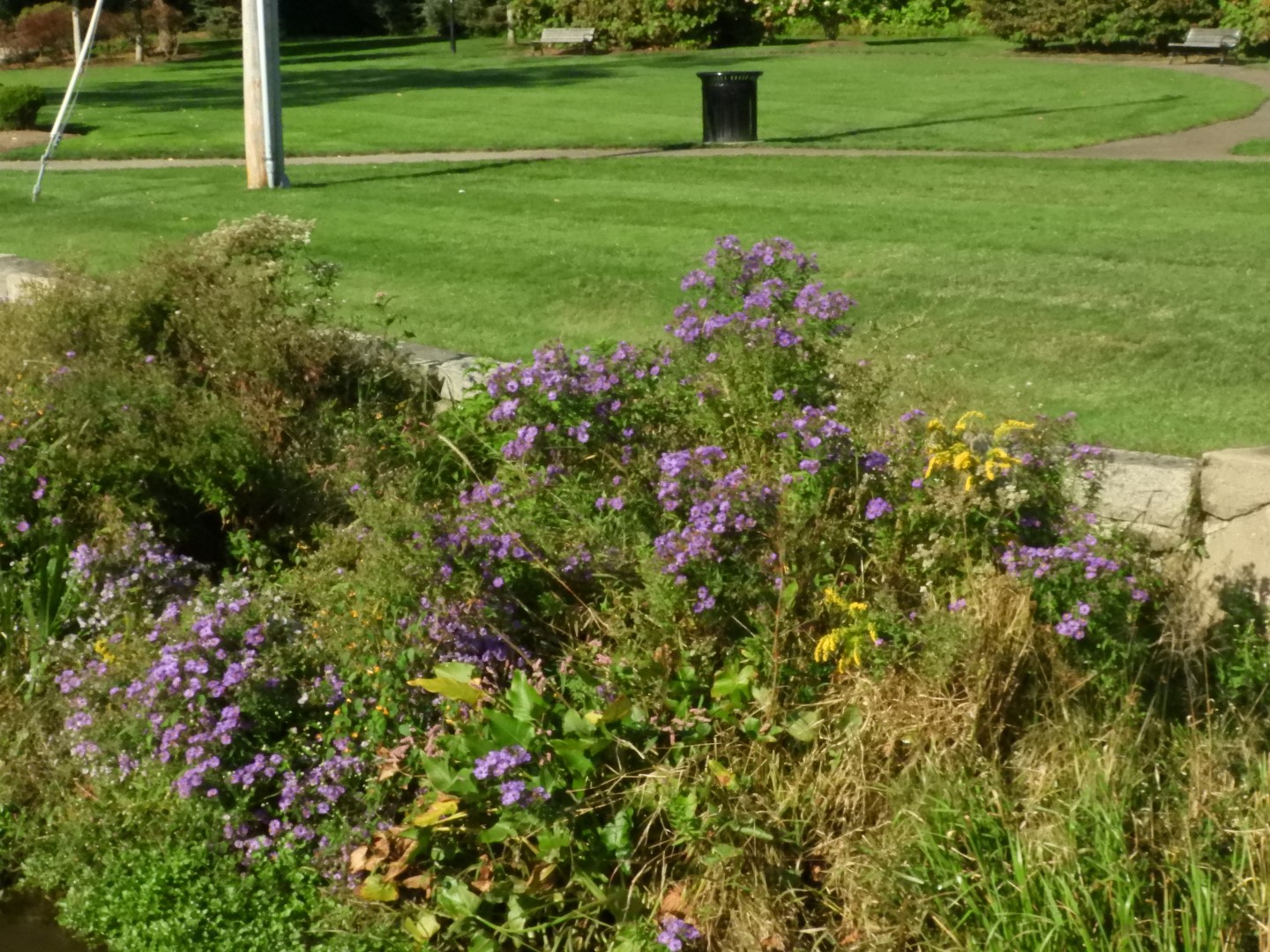 Brewster Garden 17 of 23 (#0295)