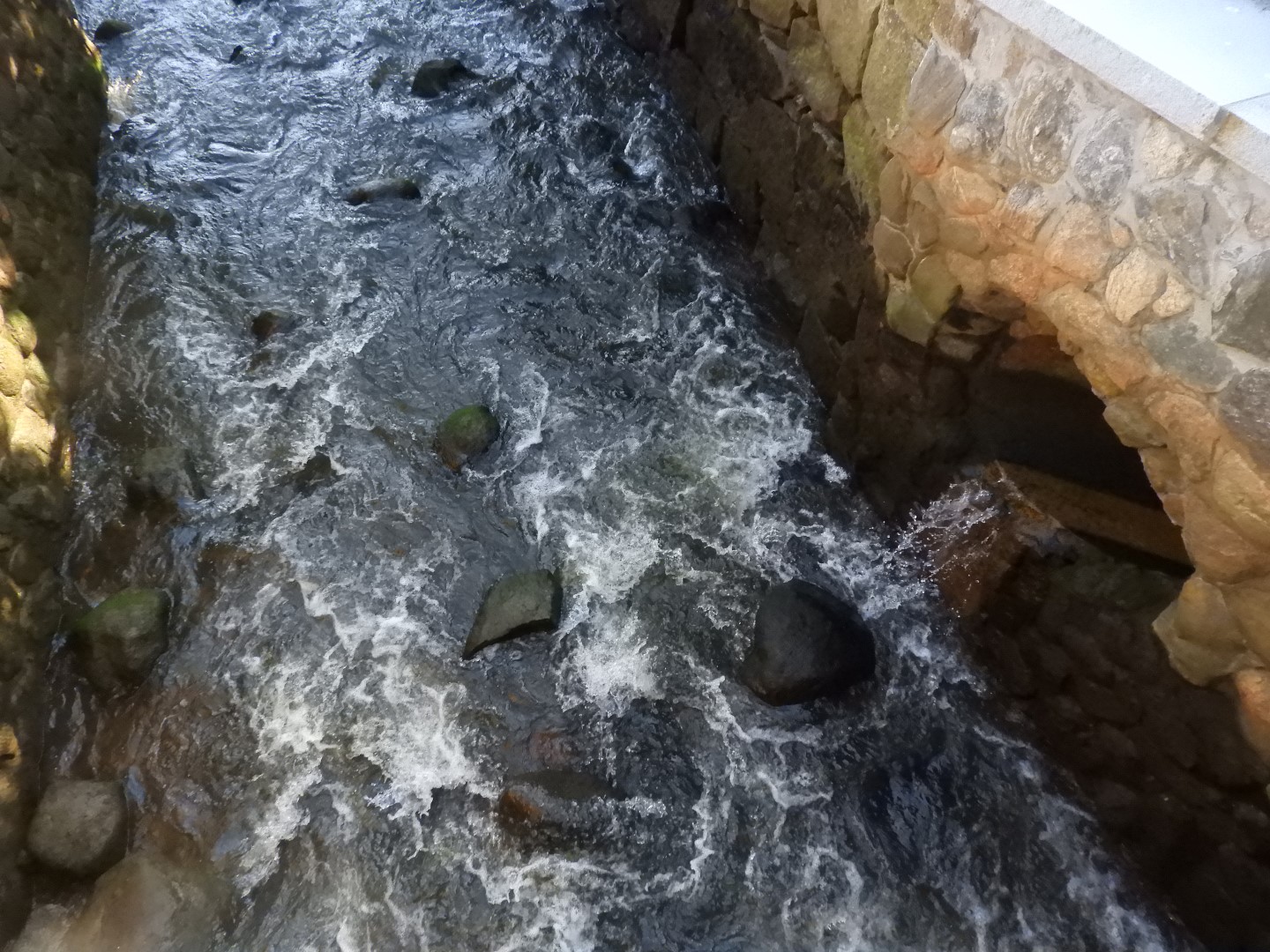 Brewster Garden 18 of 23 (#0298)