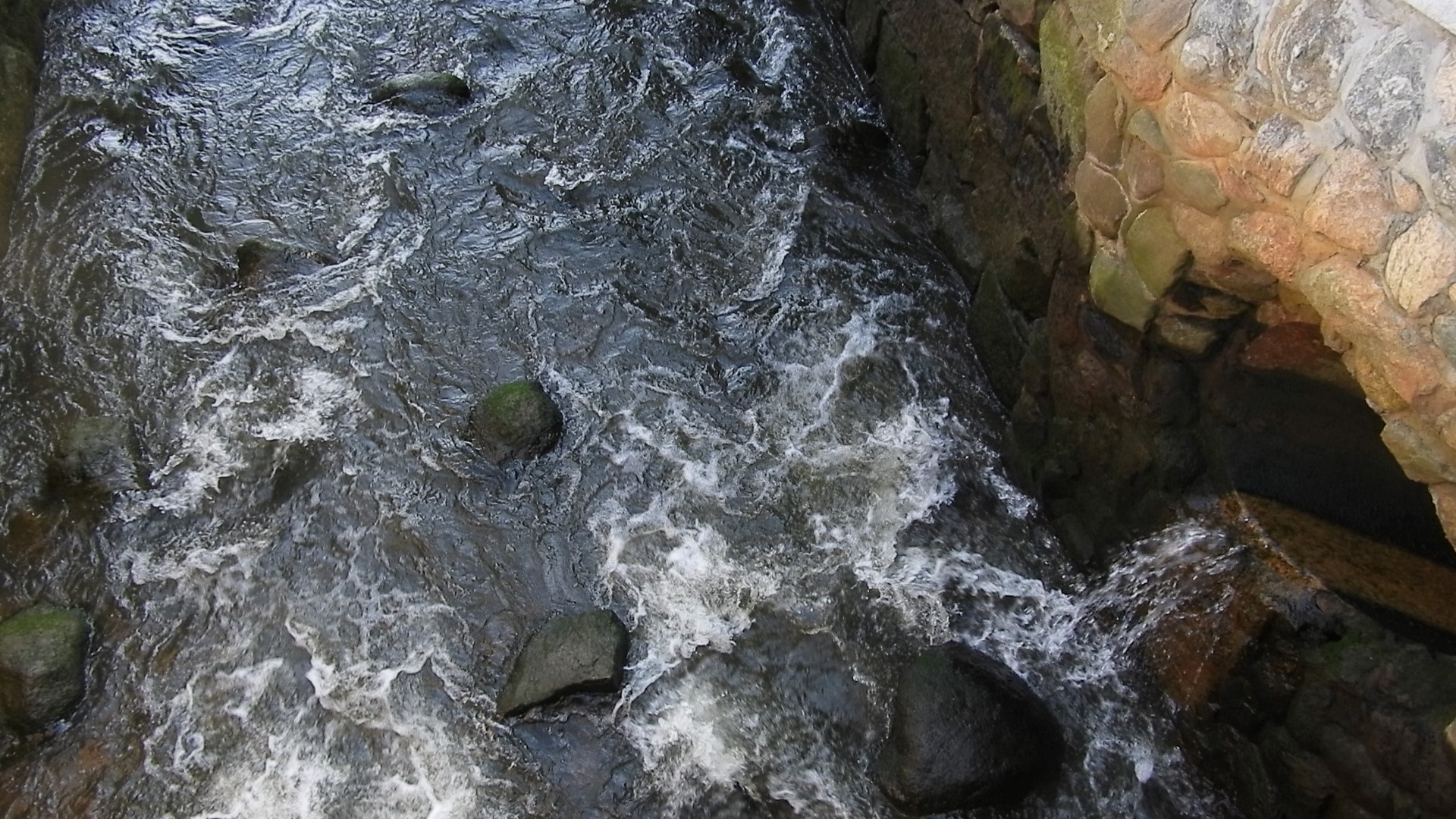 Brewster Garden 19 of 23 (#0300)