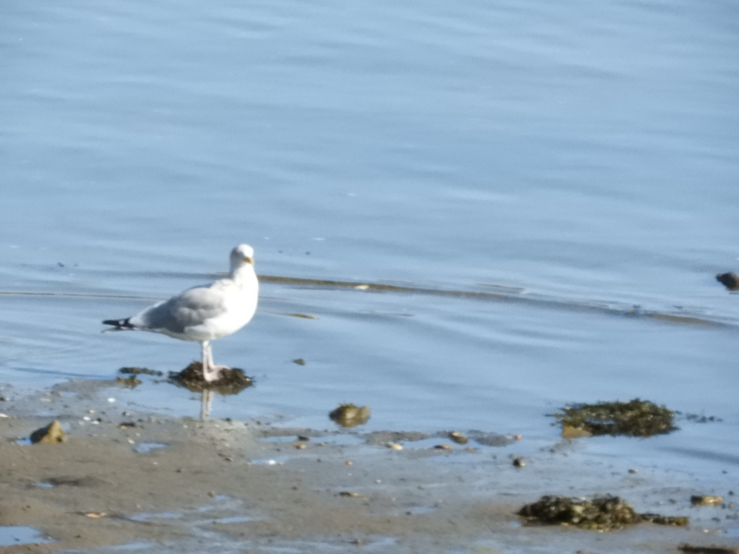 Plymouth Waterfront 7 of 19 (#0307)