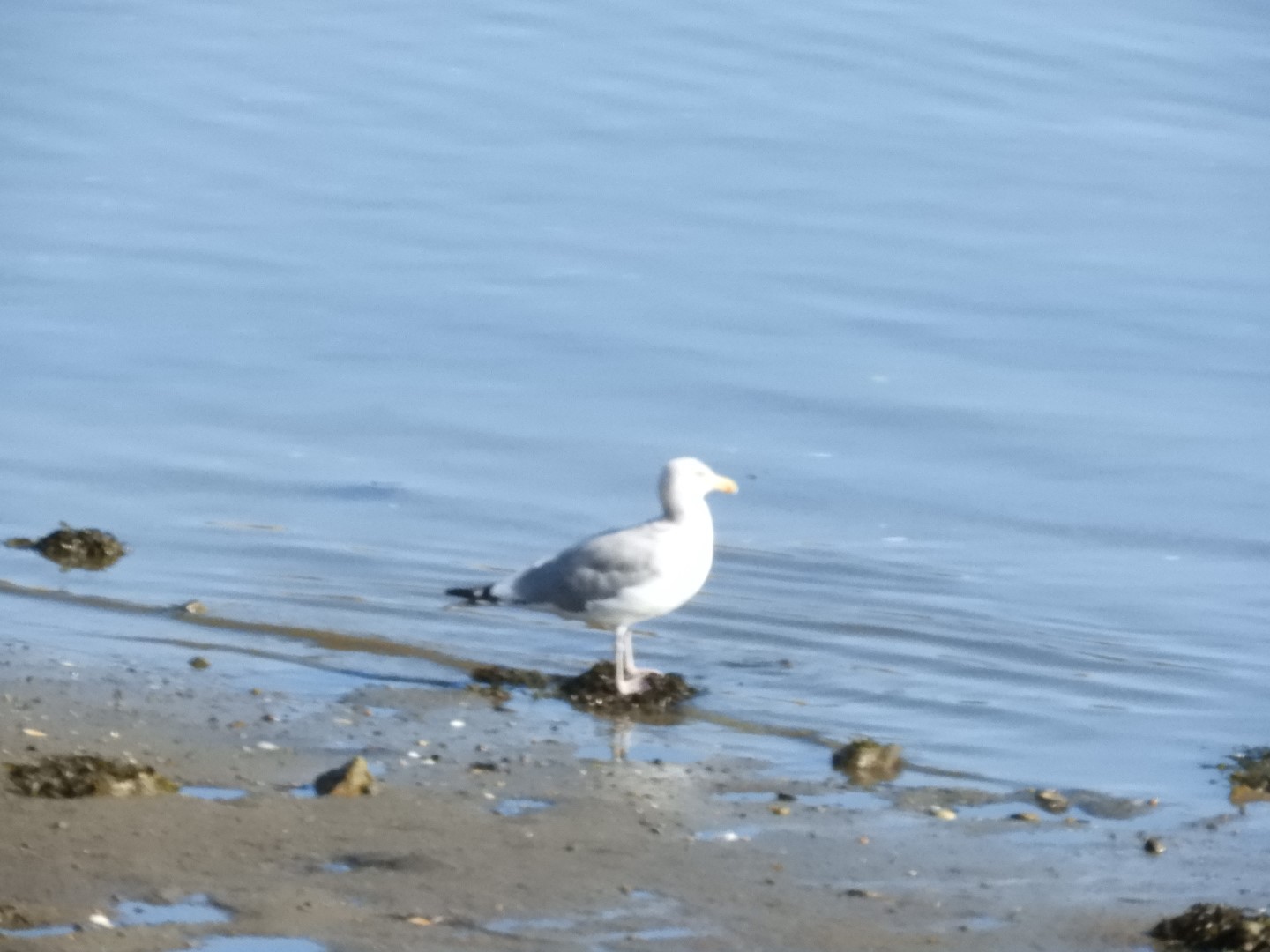 Plymouth Waterfront 8 of 19 (#0308)