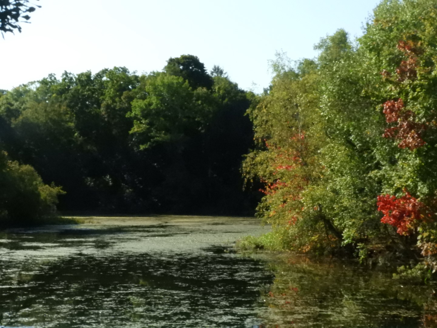 Adjacent to Plimouth Grist Mill 19 of 19 (#0332)