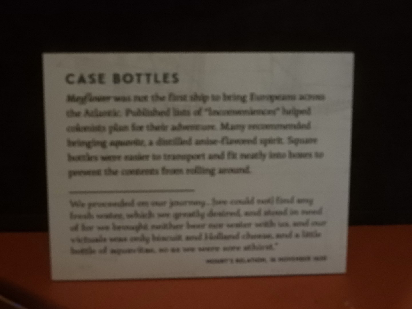 Plimouth Plantation - Visitor Center 22 of 35 (#0354)