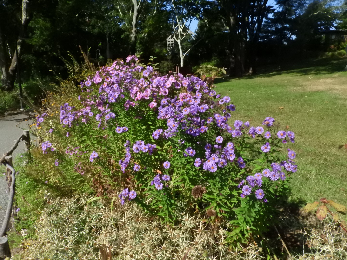 Plimouth Plantation - Visitor Center 32 of 35 (#0364)