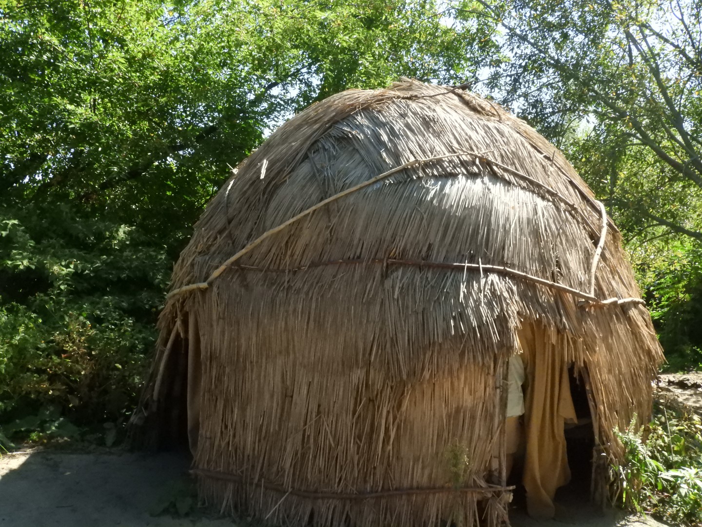 Plimouth Plantation - Wampanoag Homesite 2 of 23 (#0369)