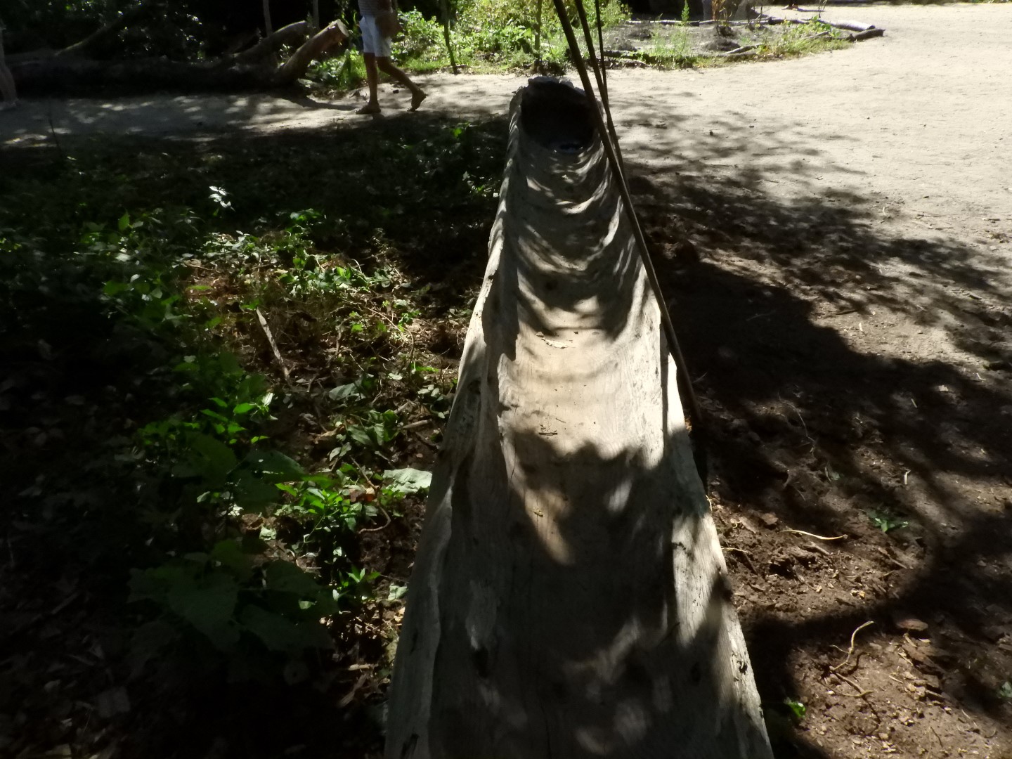 Plimouth Plantation - Wampanoag Homesite 10 of 23 (#0377)