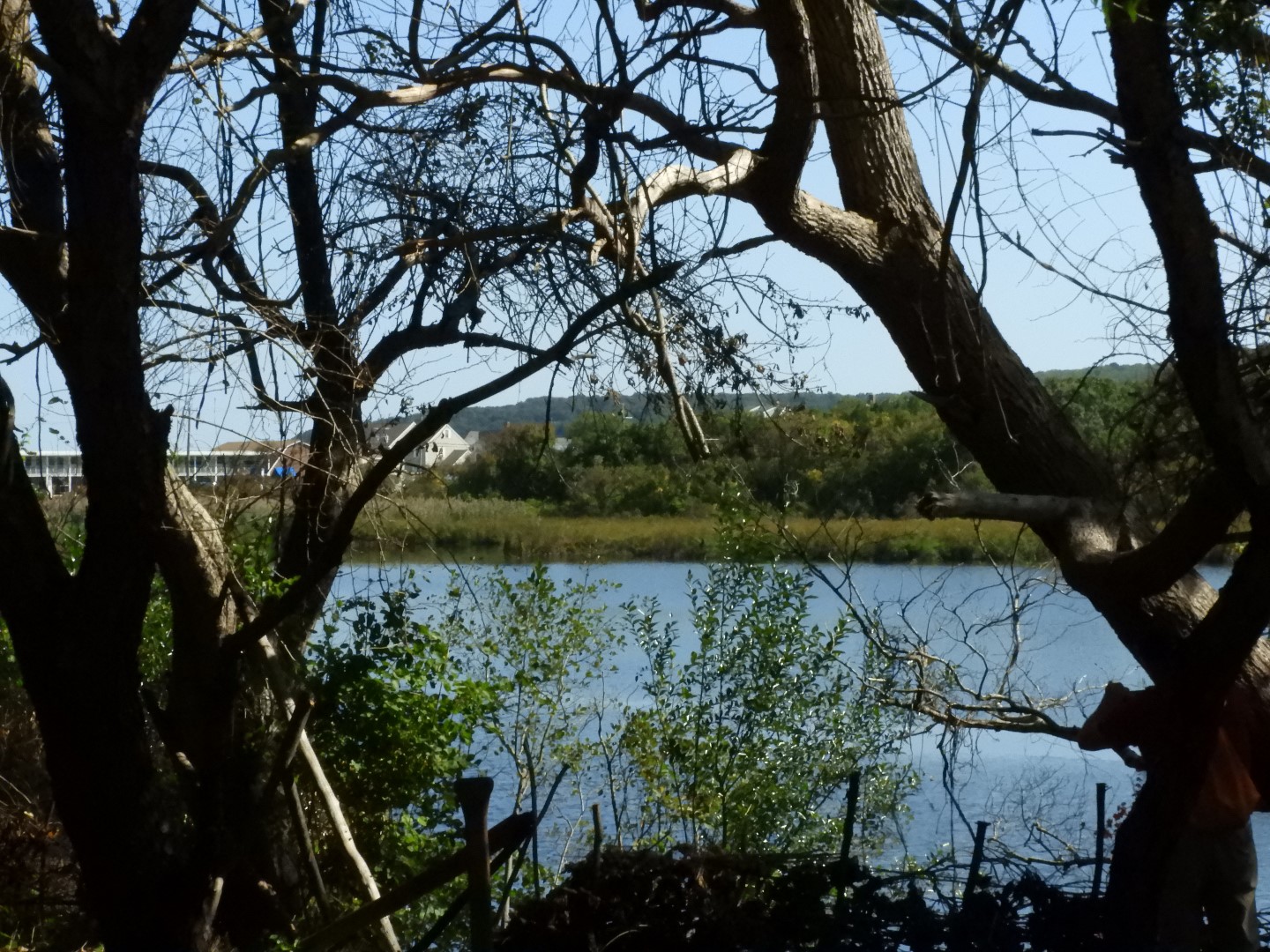 Plimouth Plantation - Wampanoag Homesite 12 of 23 (#0379)