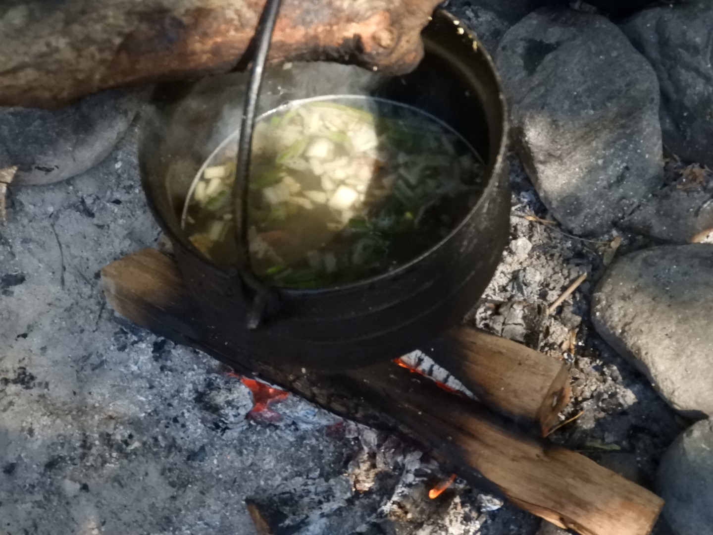 Plimouth Plantation - Wampanoag Homesite 17 of 23 (#0384)