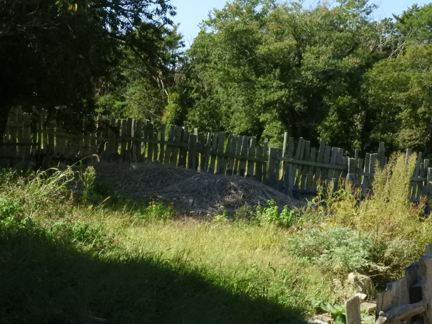 Plimouth Plantation - English Village 14 of 43 (#0426)