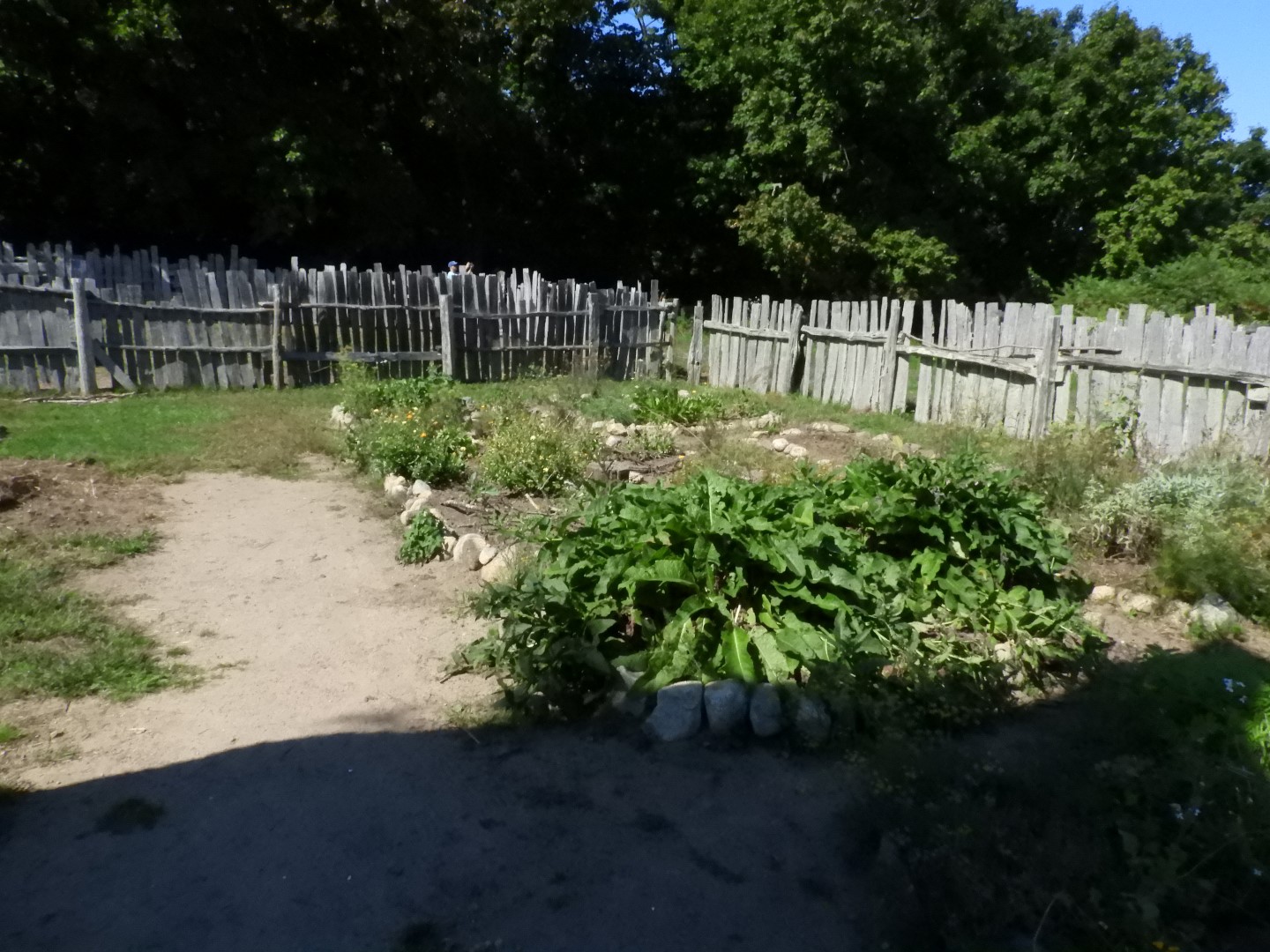 Plimouth Plantation - English Village 41 of 43 (#0456)