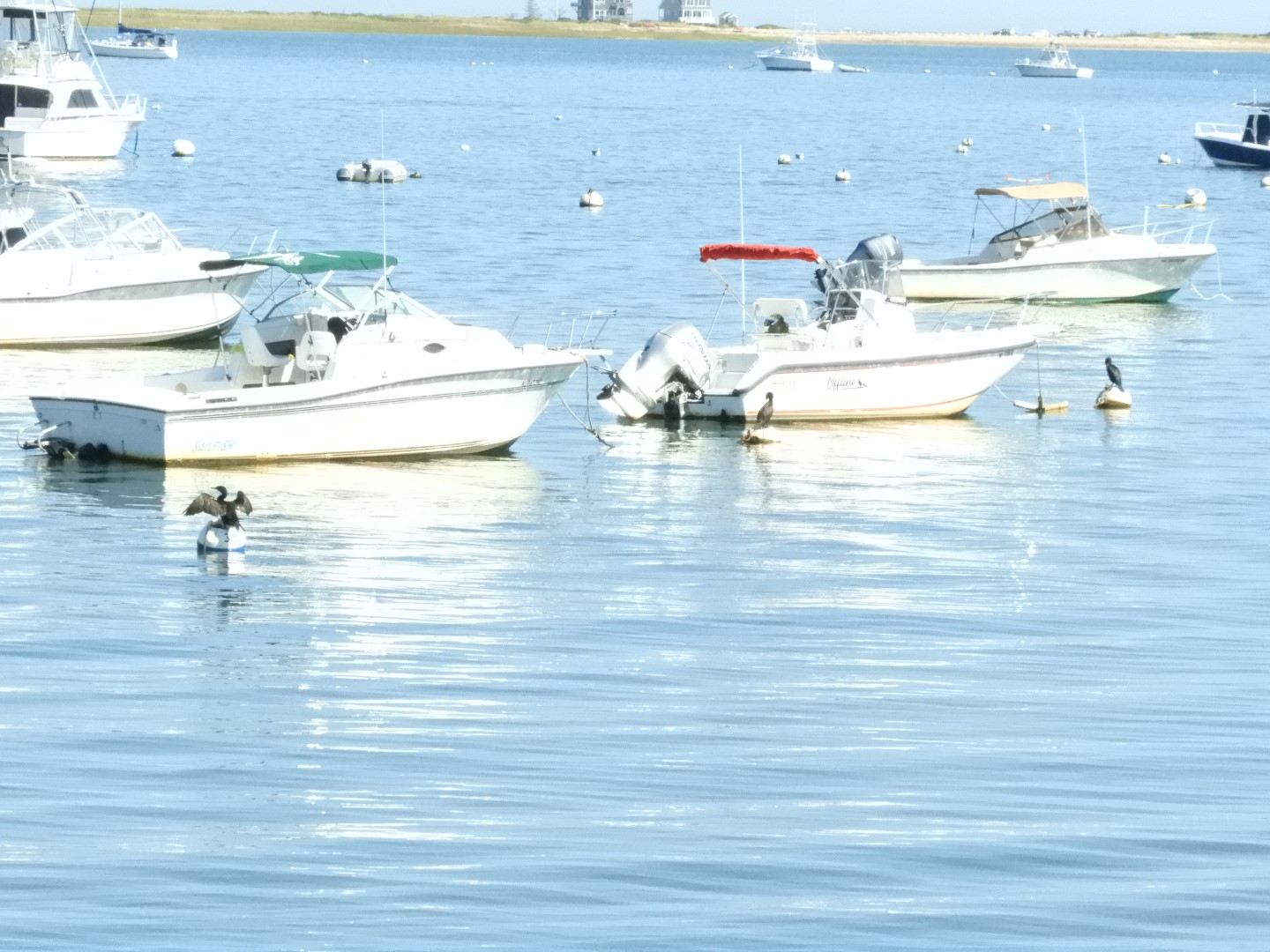 Plymouth Waterfront 19 of 19 (#0462)