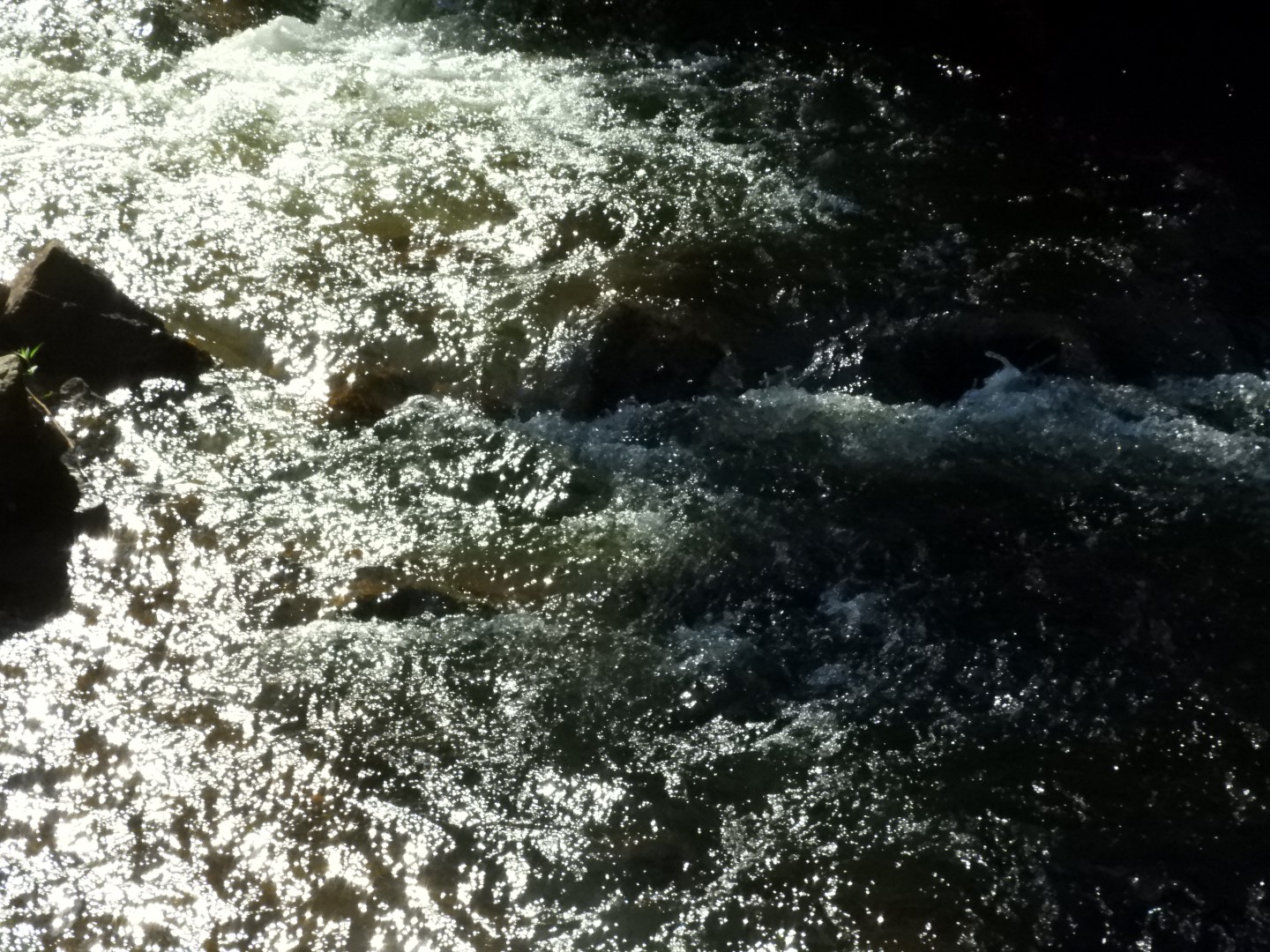 Brewster Garden 21 of 23 (#0467)