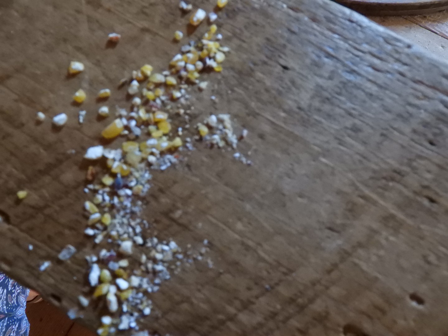 Plimouth Grist Mill 20 of 26 (#0474)