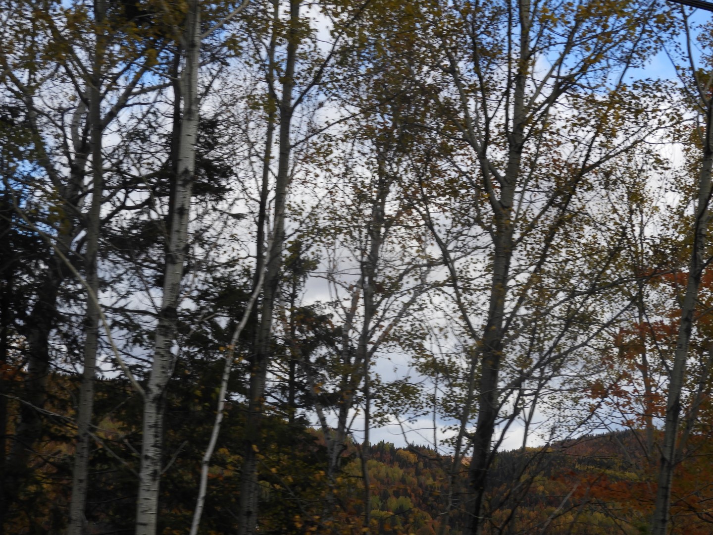 Scenery in northern New Brunswick CN 1 of 25 (#0663)
