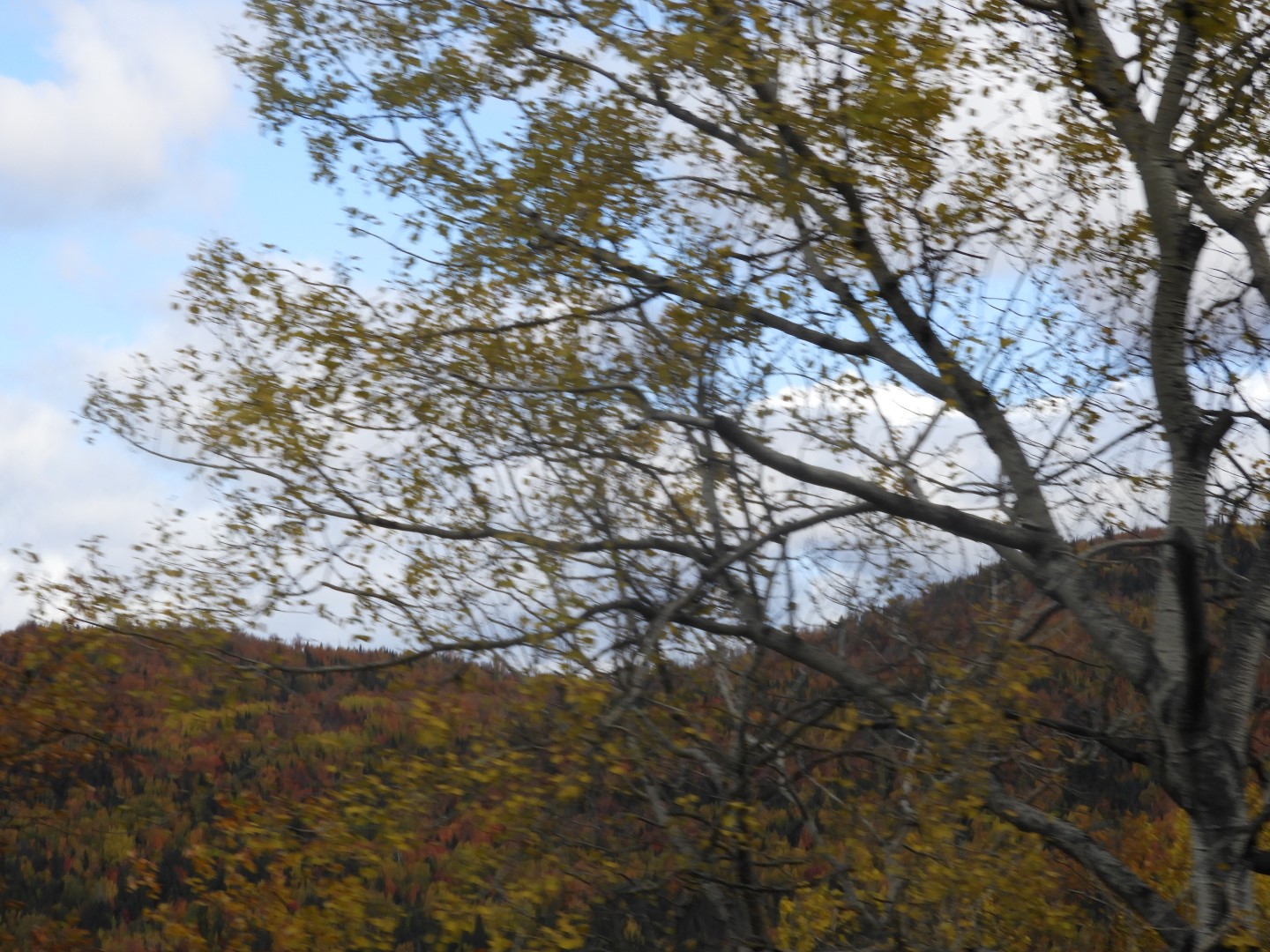 Scenery in northern New Brunswick CN 5 of 25 (#0670)