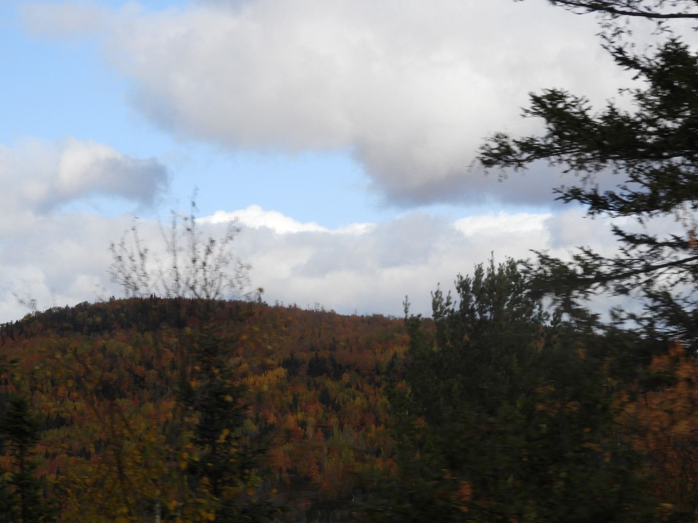 Scenery in northern New Brunswick CN 6 of 25 (#0677)