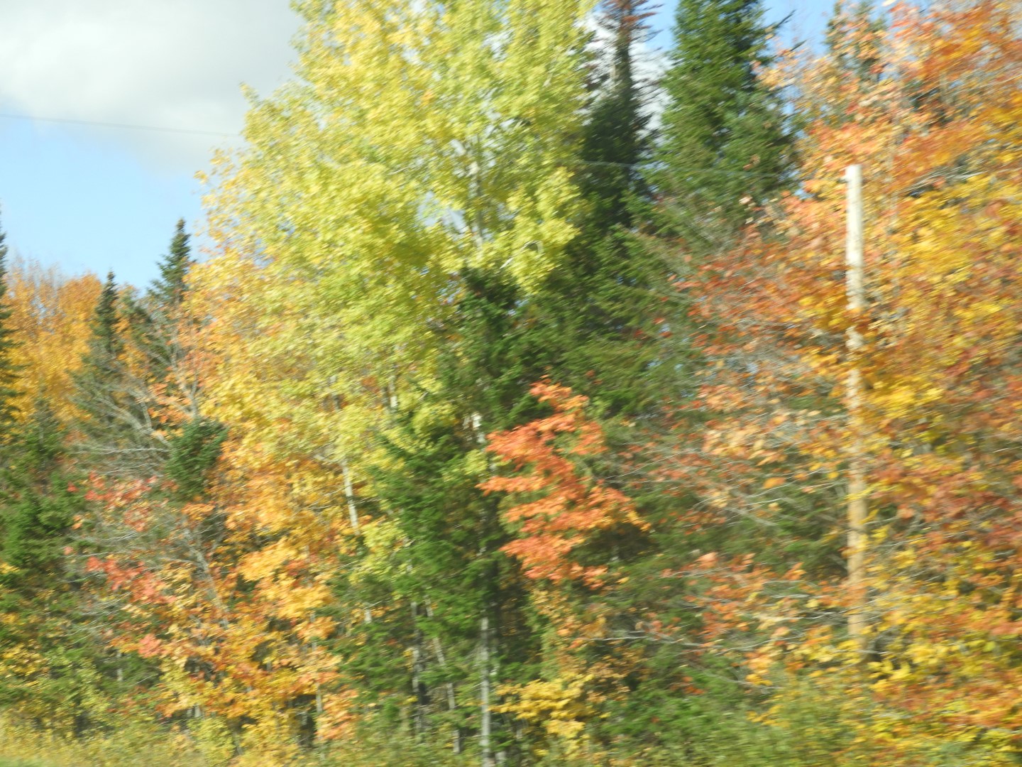 Scenery in northern New Brunswick CN 7 of 25 (#0680)