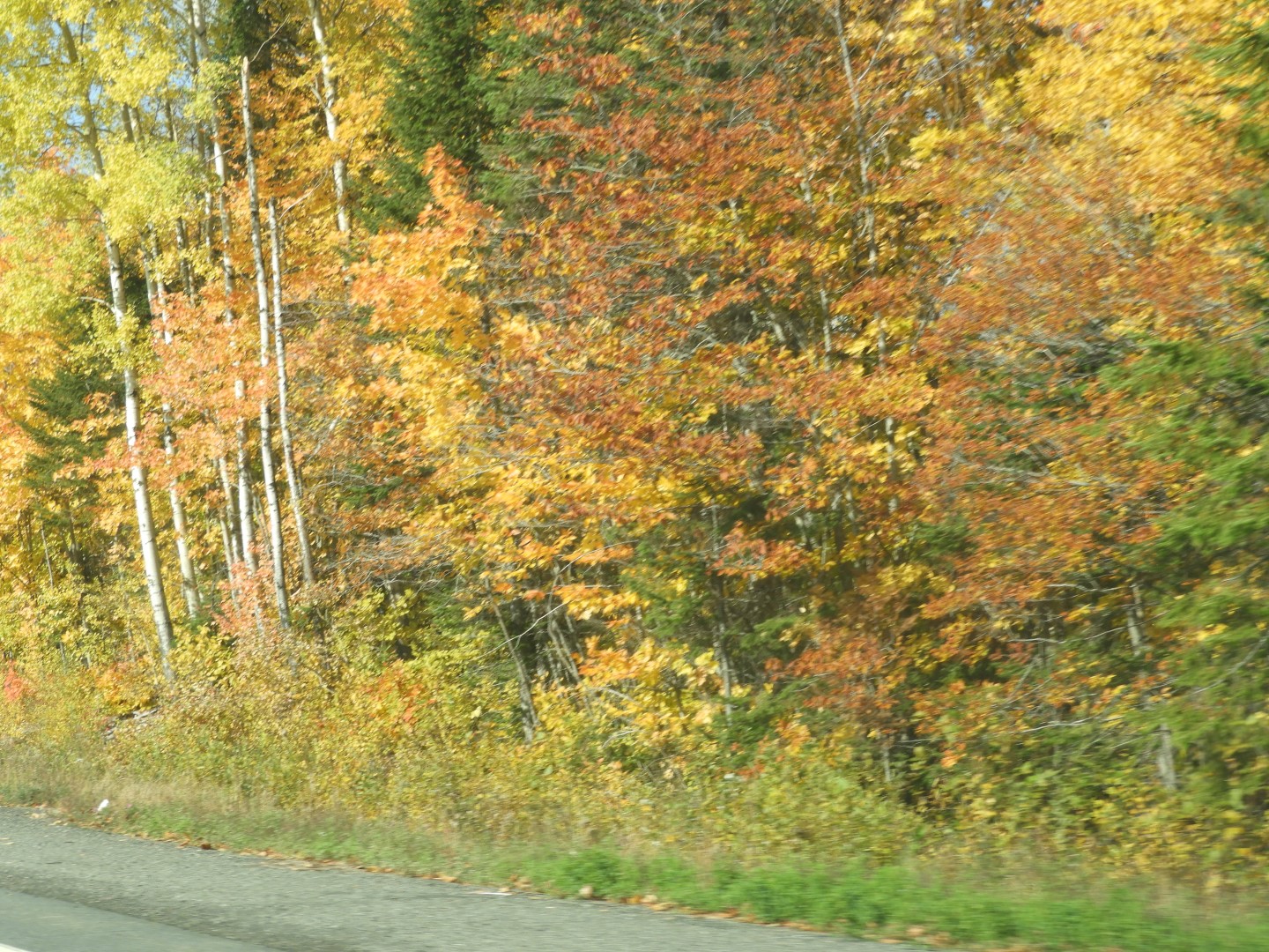 Scenery in northern New Brunswick CN 8 of 25 (#0681)