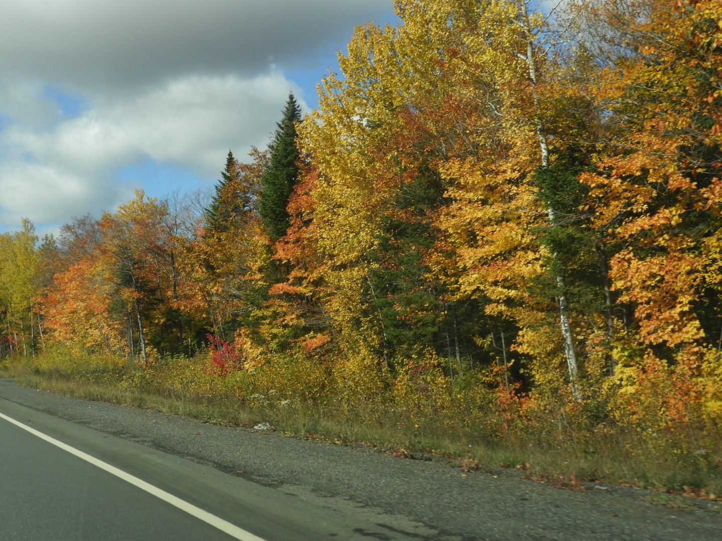 Scenery in northern New Brunswick CN 9 of 25 (#0682)