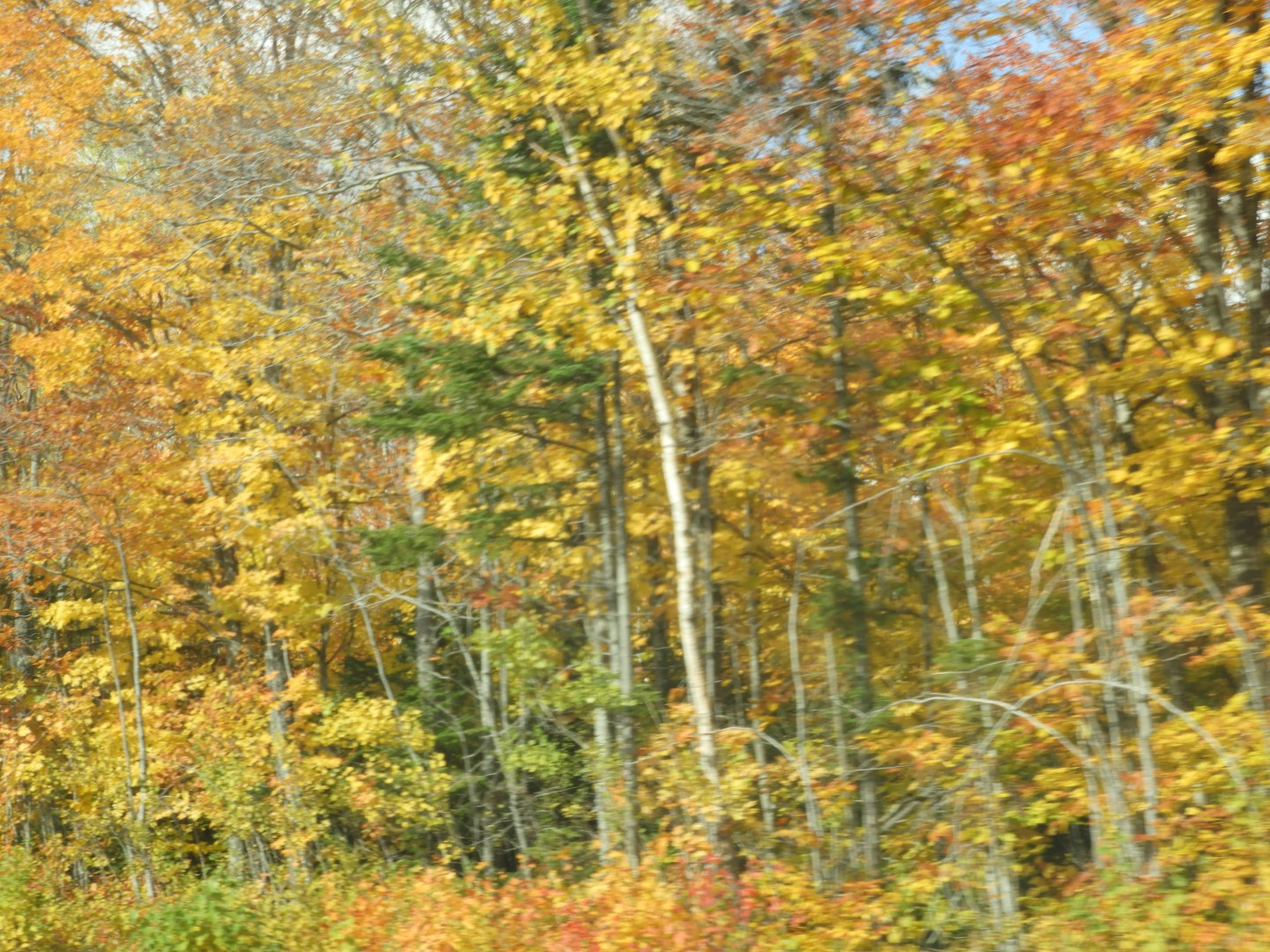Scenery in northern New Brunswick CN 10 of 25 (#0694)