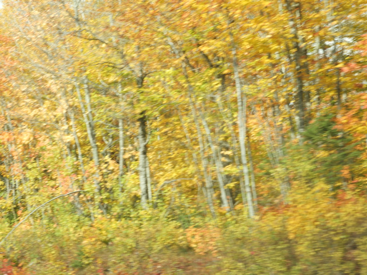 Scenery in northern New Brunswick CN 11 of 25 (#0695)