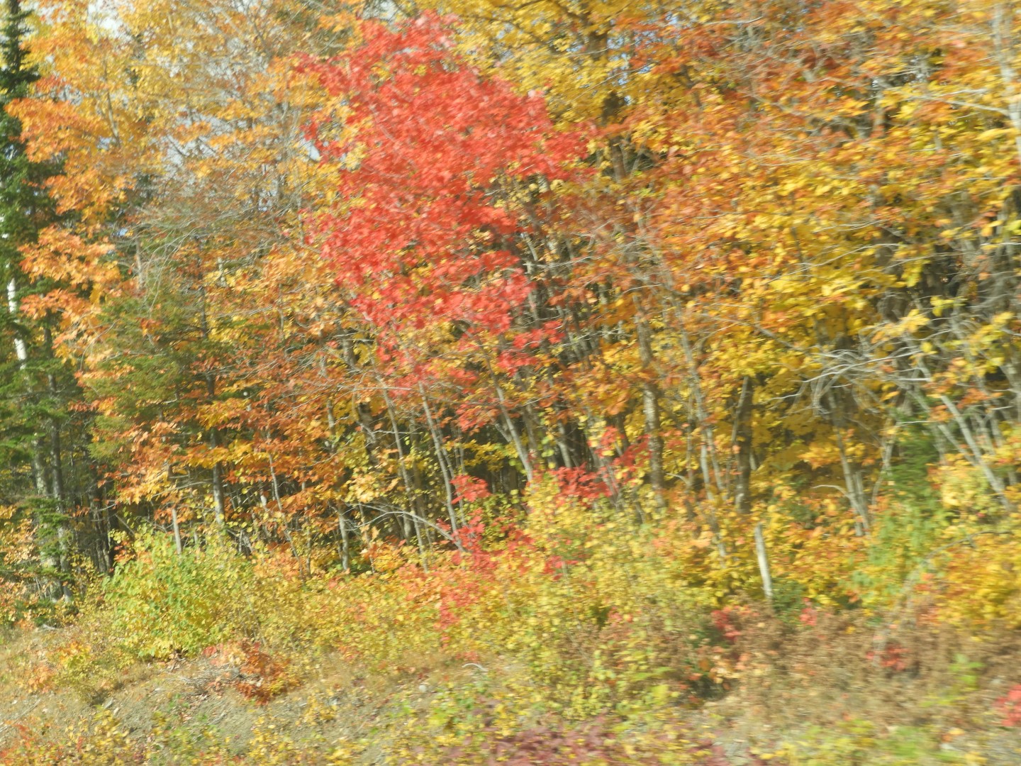 Scenery in northern New Brunswick CN 12 of 25 (#0697)