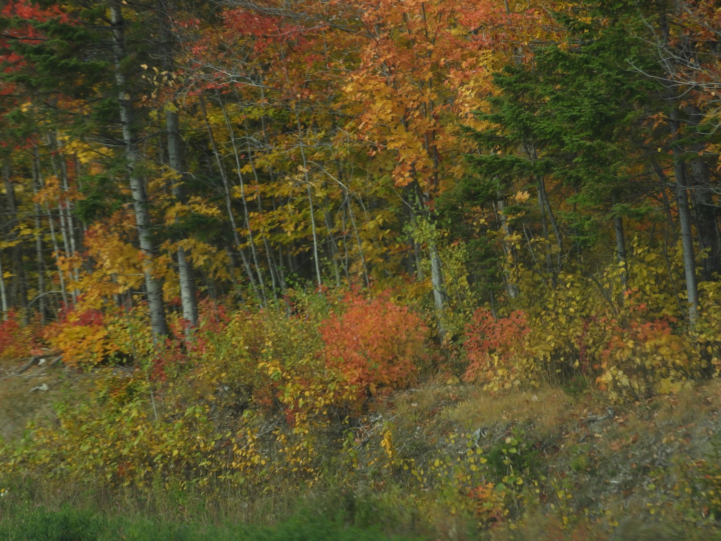 Scenery in northern New Brunswick CN 15 of 25 (#0702)