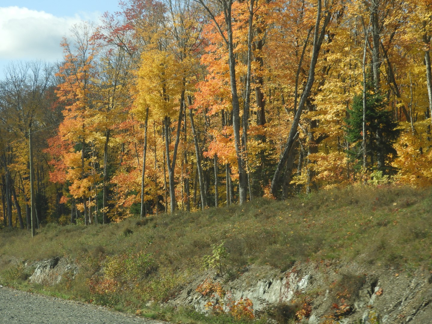 Scenery in northern New Brunswick CN 19 of 25 (#0723)