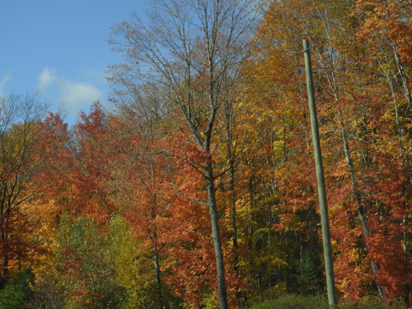 Scenery in northern New Brunswick CN 21 of 25 (#0729)