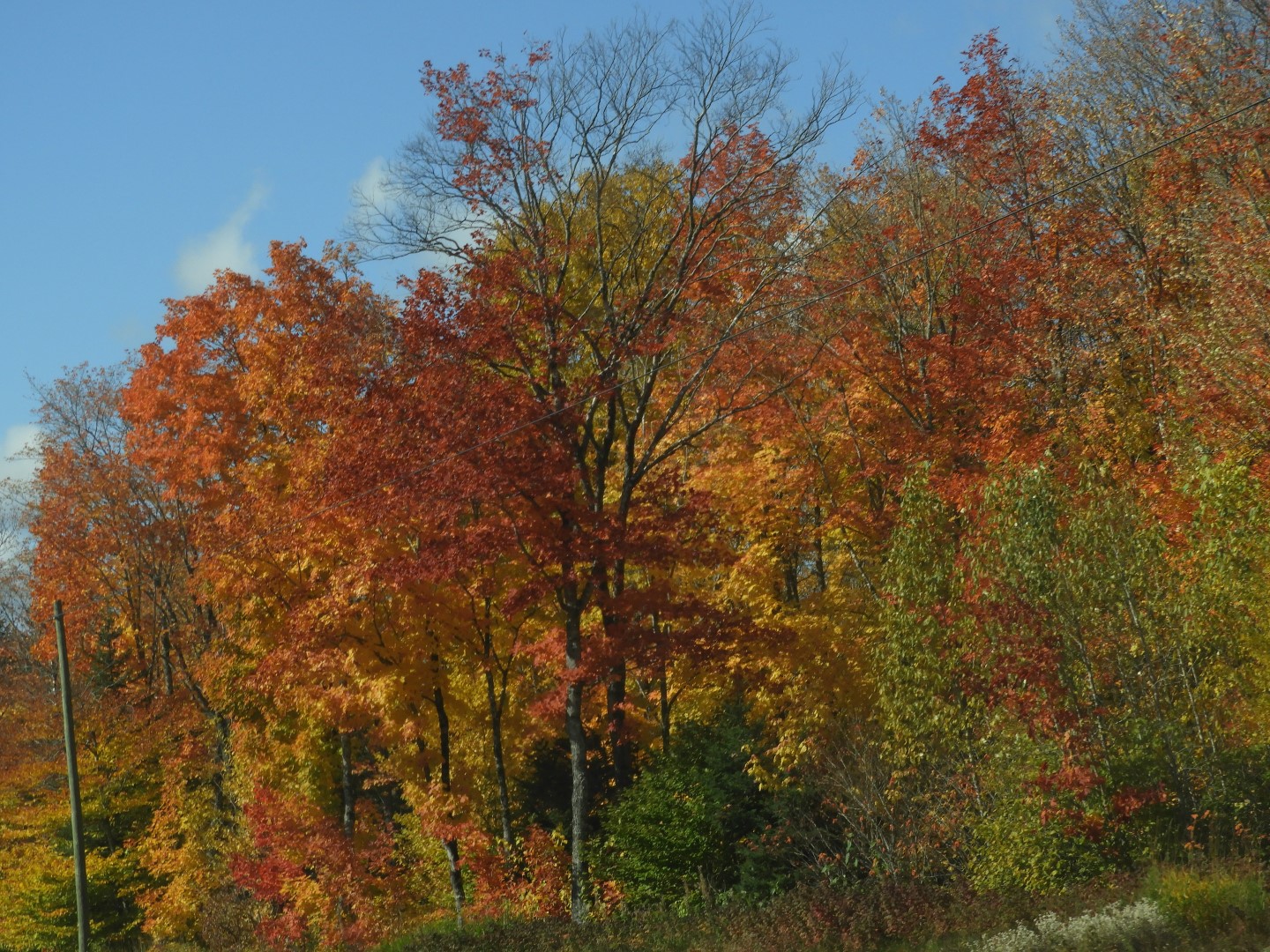 Scenery in northern New Brunswick CN 22 of 25 (#0730)