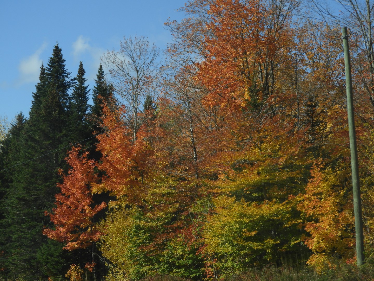 Scenery in northern New Brunswick CN 24 of 25 (#0732)