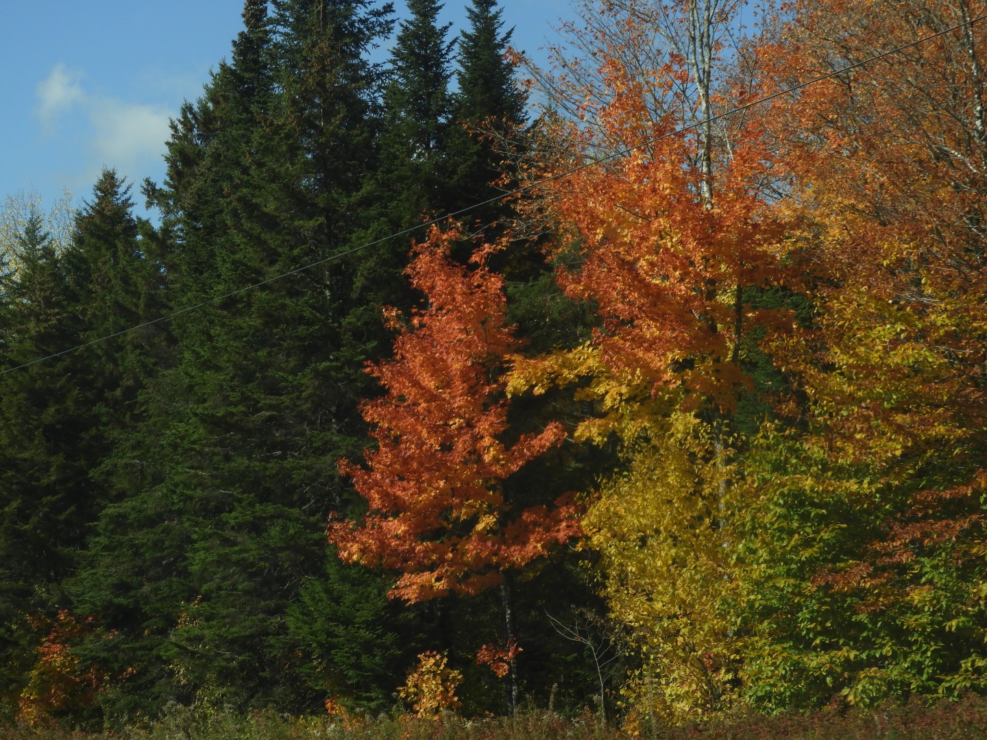 Scenery in northern New Brunswick CN 25 of 25 (#0733)