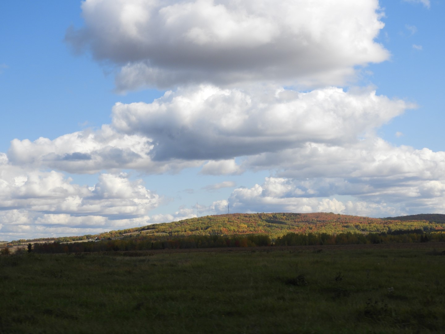 Along the highway north of Presque Isle ME 2 of  2 (#0749)