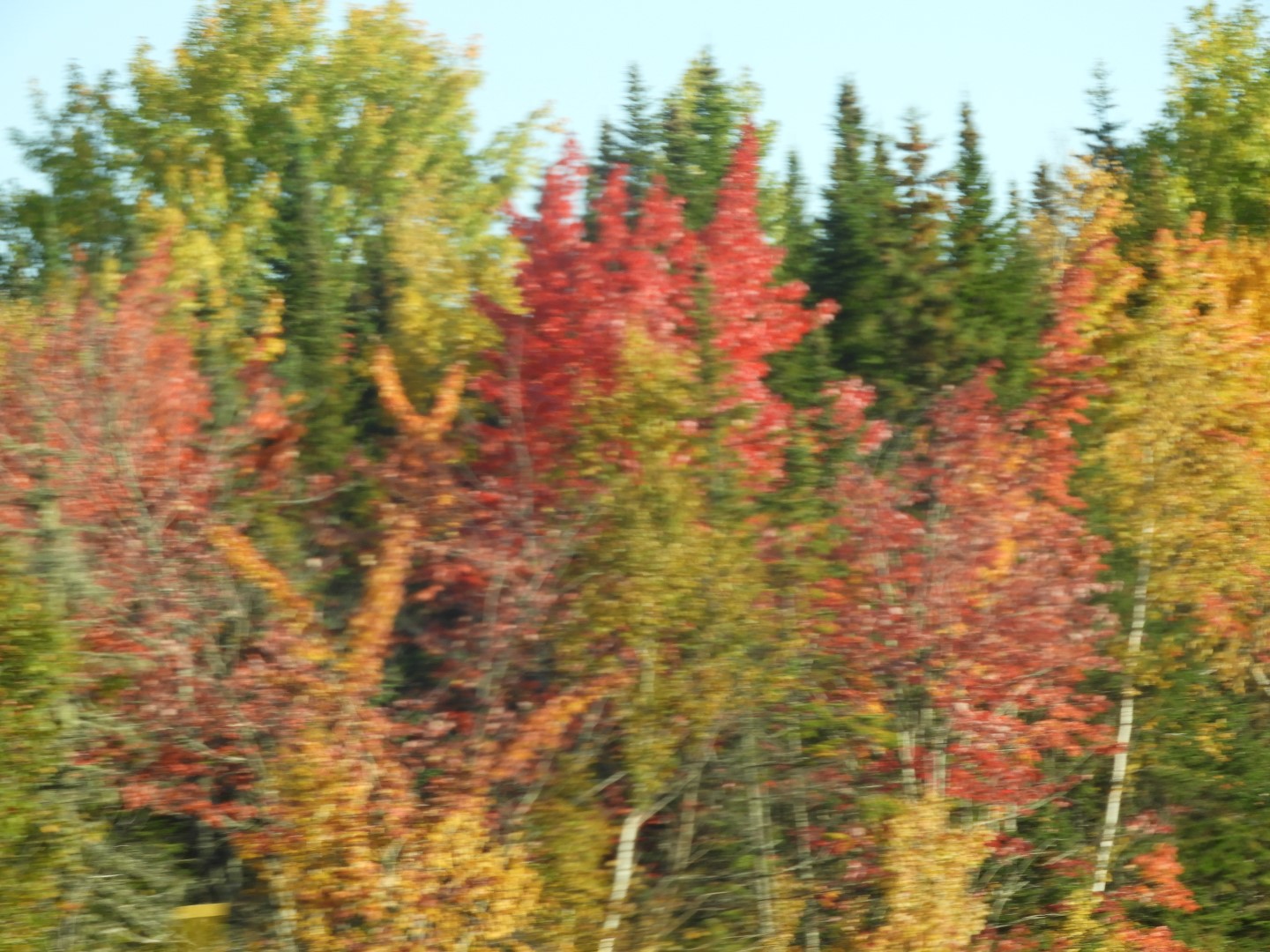 Scenery in northern New Brunswick CN  6 of 17 (#0772)