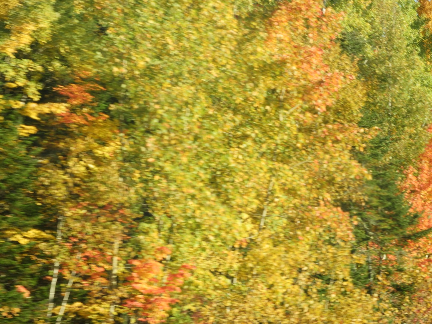 Scenery in northern New Brunswick CN  7 of 17 (#0773)