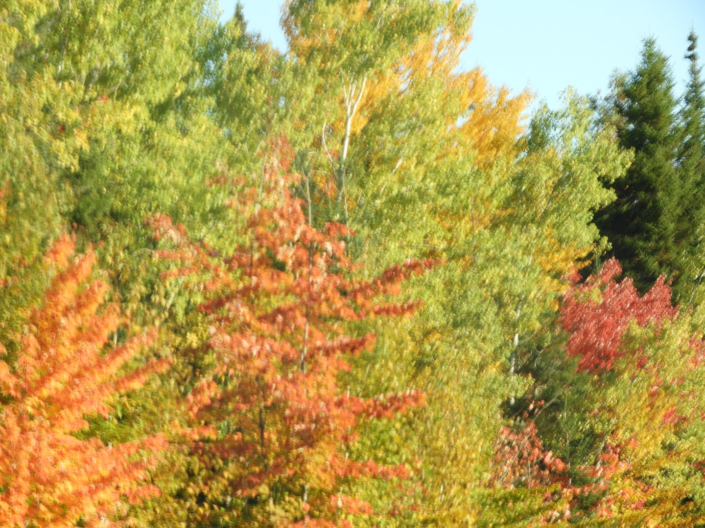 Scenery in northern New Brunswick CN  8 of 17 (#0774)